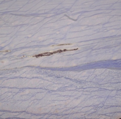 L'ANTIC COLONIAL  Yer Seramik - Porselen Karolar